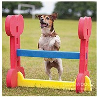 Haie Agility Indoor