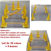 Lot de 10 cônes + 5 barres