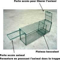trappe-de-capture-avec-porte-basculante-porte-acces