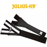 sangle-de-poitrail-en-y-pour-harnais-julius-k9