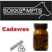 Sokks Cadavres