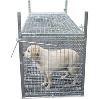 Trappe de capture pour chien ou animaux errant