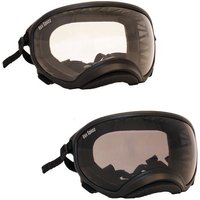 Lunette / masque de protection des yeux pour chien - XLARGE (chien + de 45 kg) - Rex Specs