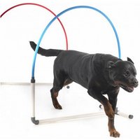 Agility Run Hooper - Agility K9 Sport