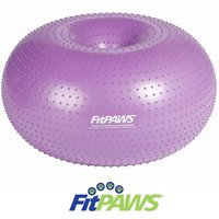FitPaws Trax Donut