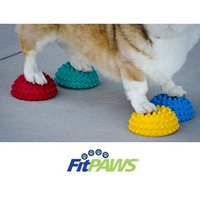 FitPaws Pods antidérapants