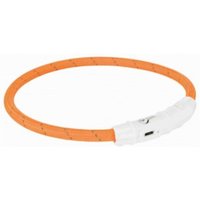 Collier Flash Lumineux USB