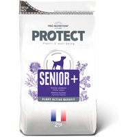 FLatazor Protect Senior +