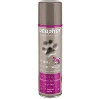 spray-shampooing-sec-sans-rincage