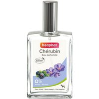 eau-parfumee-pour-chien-chiot-et-chienne