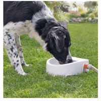 Abreuvoir automatique à niveau constant pour extérieur