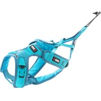 Harnais Canicross I-DOG ALM - Phoenix