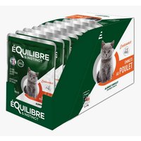 equilibre-et-instinct-eminces-chaton-poulet