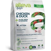 alleva-holistic-chaton
