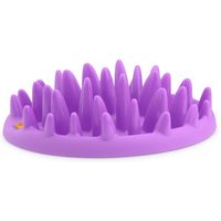 Slow Feeders pour chat