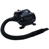 Séchoir-Pulseur Pégase Maestro Portable