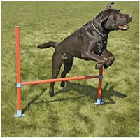 Haie Agility Garden en PVC
