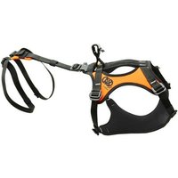 Harnais pour chien de sauvetage HARIA - KONG K9