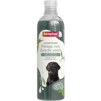 Shampooing pour chien avec pelage noir