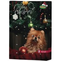 calendrier-de-l-avent-collection-noel