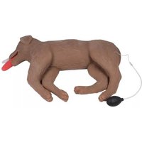 Mannequin Canin de RCR "CooPeR"