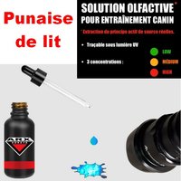 ARX Sureté - Punaise de lit