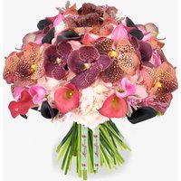 Cherry Lady image