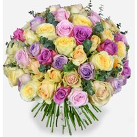 Sweet Rose image