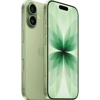 Apple iPhone 17 Sage 256GB Good as New + Pay Monthly SIM All Pay Monthly SIMs Unlimited 100GB 24-Months