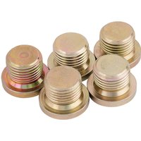 Draper Expert Spare Bolt M17 x 1.50 for 36631