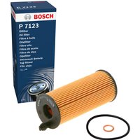 Bosch F026407123 Oil Filter (P7123)