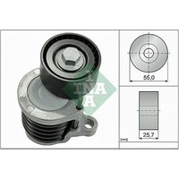 INA 534059110 Tensioner