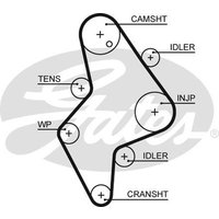 Gates 5658XS Timing Belt