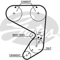 Gates 5022 Timing Belt