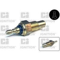 Ci Ignition XTT83 Temperature Transmitter