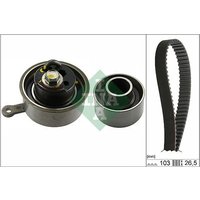 INA 530066410 Timing Belt Kit