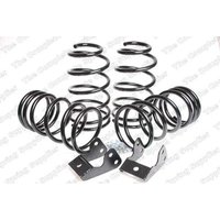 ROC KL968450 Sport Springs Lowering Kit
