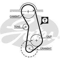 Gates 5016 Timing Belt