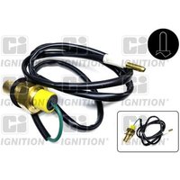 Ci Ignition XTS19 Temperature Sensor