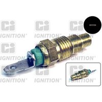 Ci Ignition XTT123 Temperature Transmitter