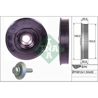 INA 544007920 Crankshaft Pulley