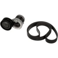 Gates K076PK1130 V-Ribbed Belt Set
