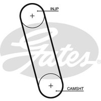 Gates 5100 Timing Belt