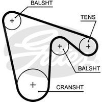Gates 5620XS Timing Belt