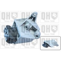 Quinton Hazell EM4307 Engine Mounting