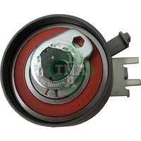 INA 531031210 Tensioner