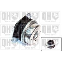 Quinton Hazell EM2518 Gearbox Mounting