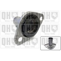 Quinton Hazell CCT10K Clutch Bearing Guide Tube