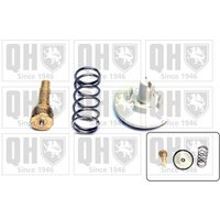 Quinton Hazell QTH731K Thermostat Kit