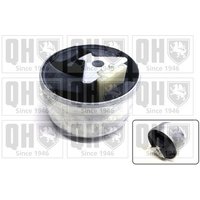 Quinton Hazell EM4803 Engine Mounting